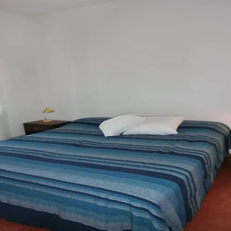 With Private Garden In Apartment